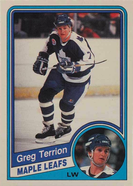 1984 O-Pee-Chee Greg Terrion #312 Hockey Card