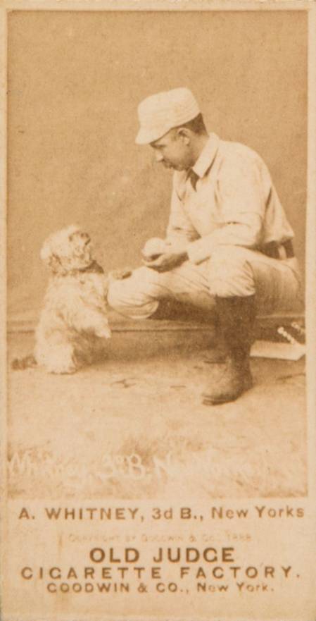 1887 Old Judge A. Whitney, 3d B., New Yorks #499-1b Baseball Card