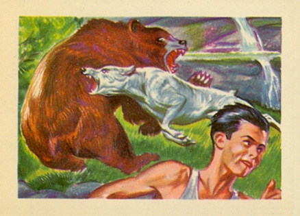 1956 Adventure A boy's best friend #82 Non-Sports Card