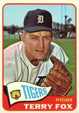 1965 Topps Terry Fox #576 Baseball Card