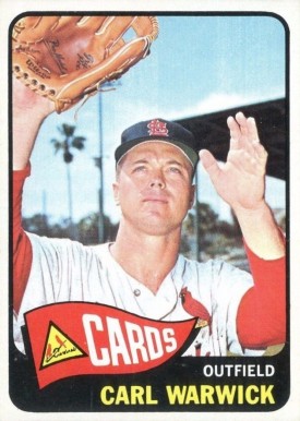 1965 Topps Carl Warwick #357 Baseball Card
