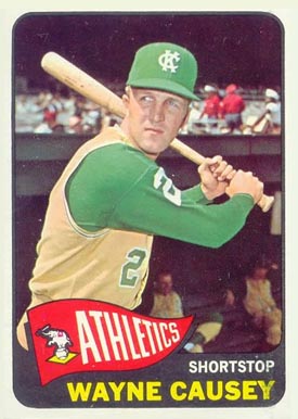 1965 Topps Wayne Causey #425 Baseball Card