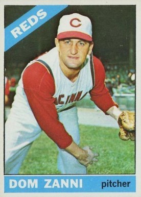 1966 Topps Dom Zanni #233 Baseball Card