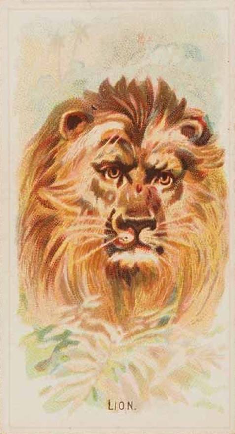 1889 Allen & Ginter Wild Animals of the World Lion # Non-Sports Card