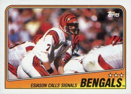 1988 Topps Bengals Team Leaders #339 Football Card