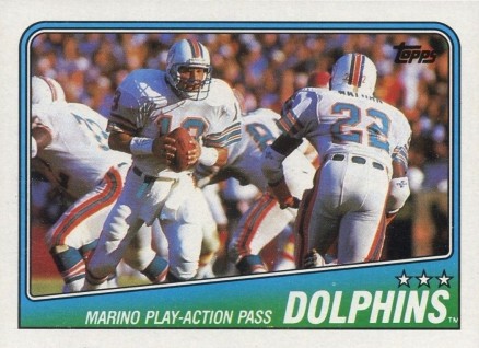 1988 Topps Dolphins Team Leaders #189 Football Card