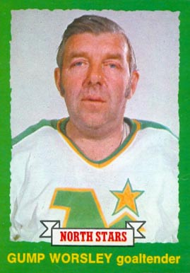 1973 O-Pee-Chee Gump Worsley #230 Hockey Card