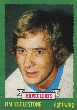 1973 O-Pee-Chee Tim EcClestone #144 Hockey Card