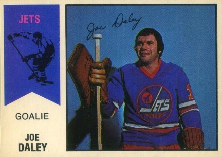 1974 O-Pee-Chee WHA Joe Daley #38 Hockey Card