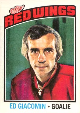 1976 O-Pee-Chee Ed Giacomin #160 Hockey Card