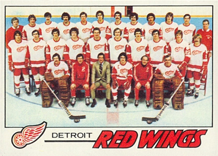 1977 Topps Detroit Red Wings #77 Hockey Card