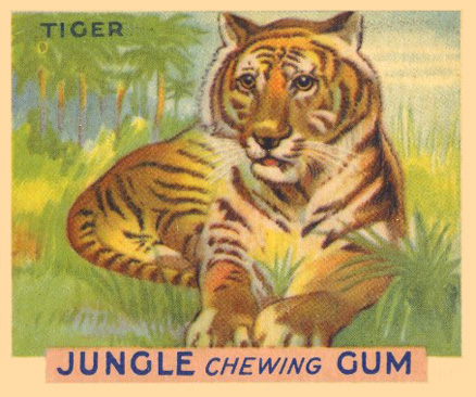 1930 Jungle Gum Tiger #6 Non-Sports Card
