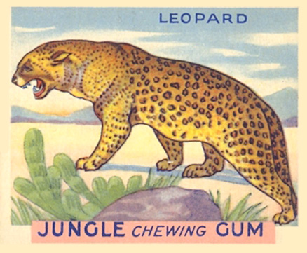 1930 Jungle Gum Leopard #10 Non-Sports Card