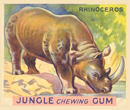 1930 Jungle Gum Rhinoceros #17 Non-Sports Card