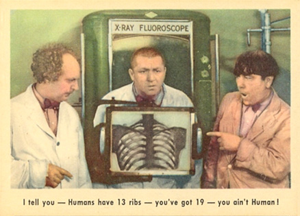1959 The 3 Stooges I Tell You - Humans Have 13 Ribs.. #14 Non-Sports Card