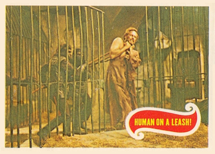 1969 Topps Planet of the Apes Human on A Leash! #24 Non-Sports Card