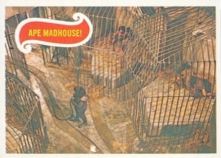 1969 Topps Planet of the Apes Ape Madhouse! #30 Non-Sports Card