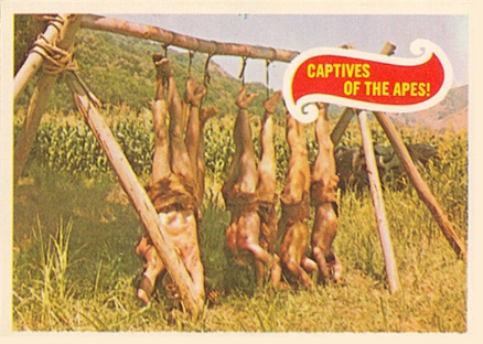 1969 Topps Planet of the Apes Captives of the Apes! #8 Non-Sports Card
