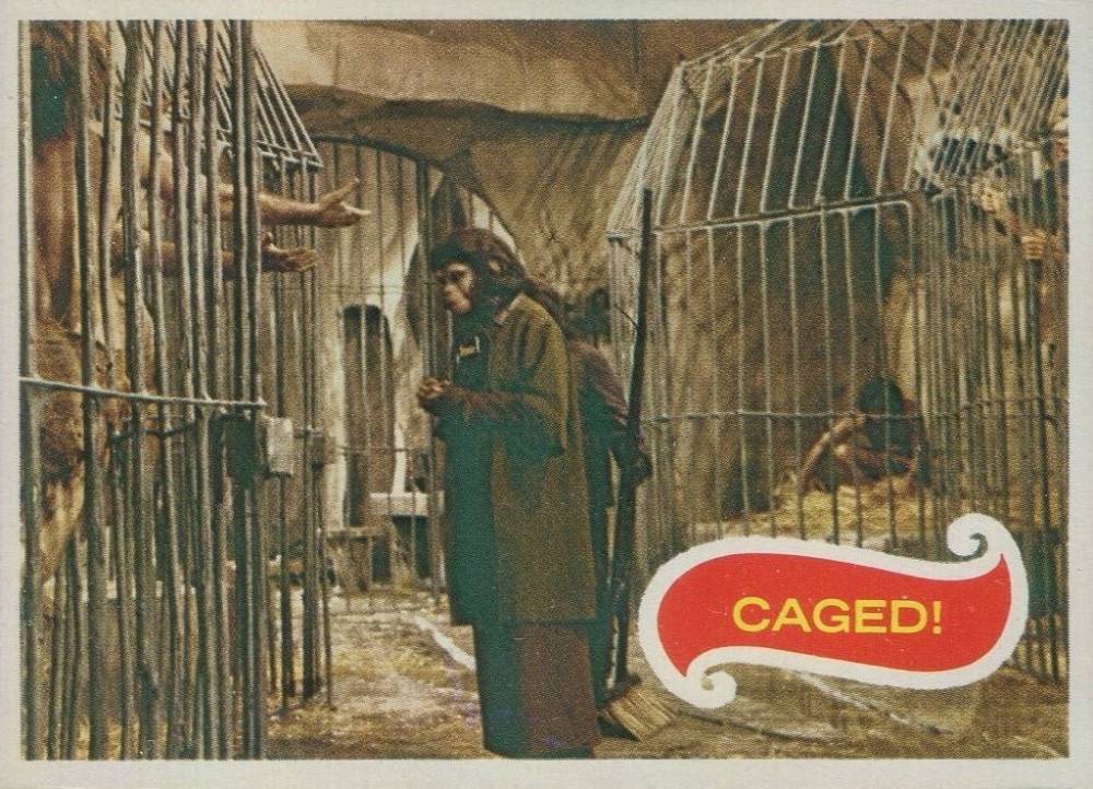 1969 Topps Planet of the Apes Caged! #21 Non-Sports Card
