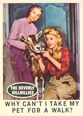 1963 Beverly Hillbillies Why can't I take my pet #21 Non-Sports Card