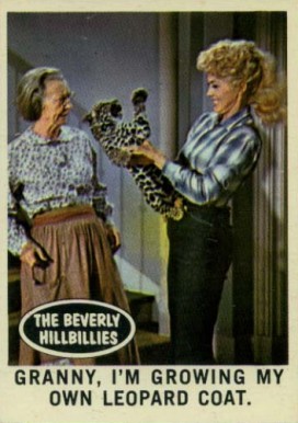 1963 Beverly Hillbillies Granny, I am growing... #10 Non-Sports Card
