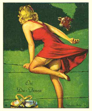 1944 American Beauties On de-fence #15 Non-Sports Card