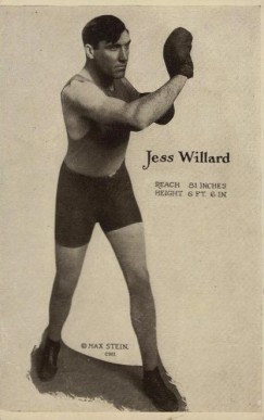 1915 Max Stein Photo Postcard Jess Willard # Other Sports Card