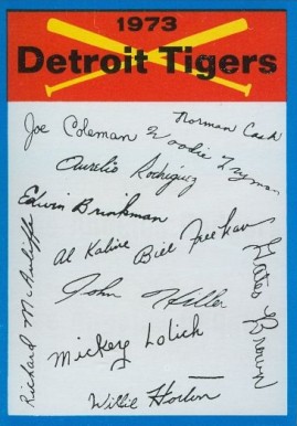 1973 Topps Team Checklist Detroit Tigers # Baseball Card