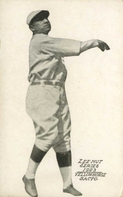 1923 Zeenut  Moses Yellowhorse #195 Baseball Card