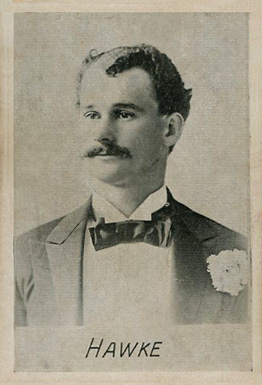 1894 Alpha Photo Engraving Hawke #7 Baseball Card