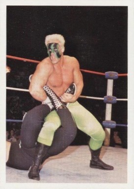 1988 Wonderama NWA Wrestling Superstars Sting #194 Other Sports Card