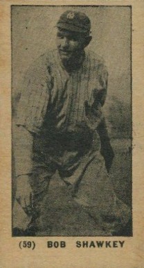 1927 York Caramels Type 1 Bob Shawkey #59 Baseball Card